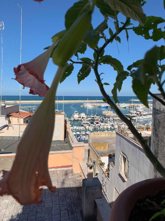 B&B Marnudd Bisceglie Zewnętrze zdjęcie